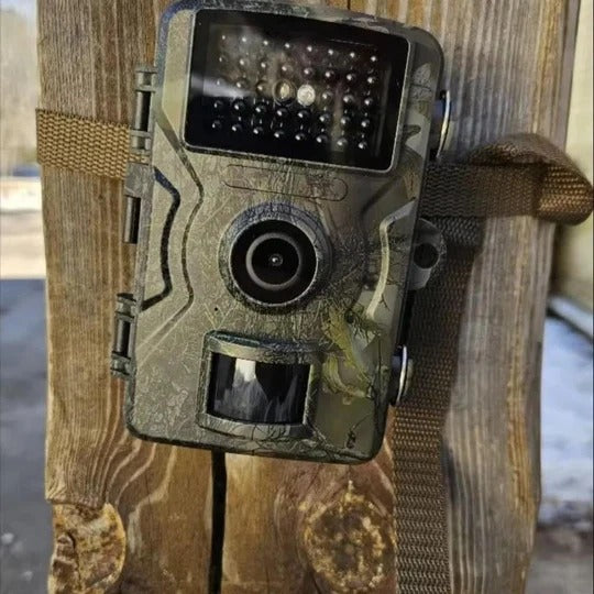 WoodCam Sentinel