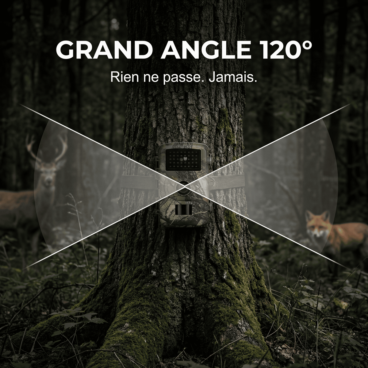 Caméra de chasse Full HD — vue 3 — Woodcam