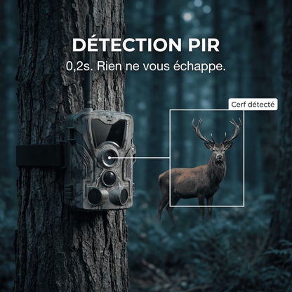 Camera de chasse 4G avec écran 4K